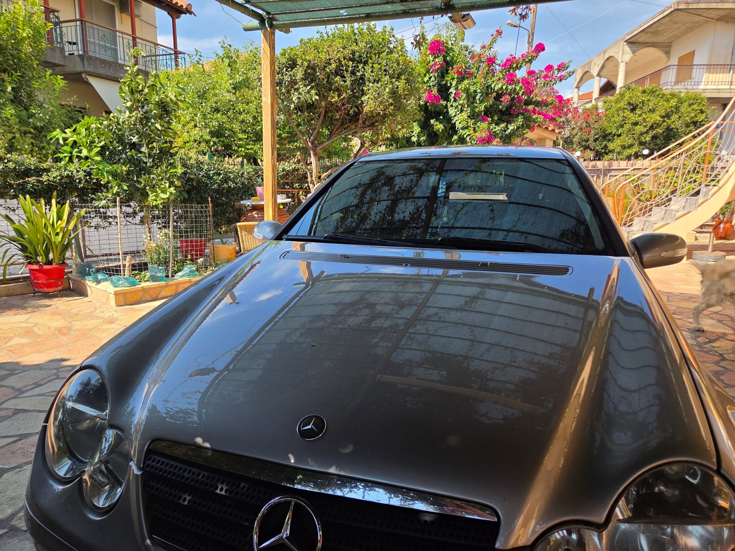 Mercedes 2007 Αναπηρικό